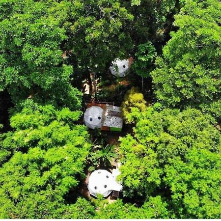 ホテル Faith Glamping Dome Costa Rica マンサニージョ エクステリア 写真