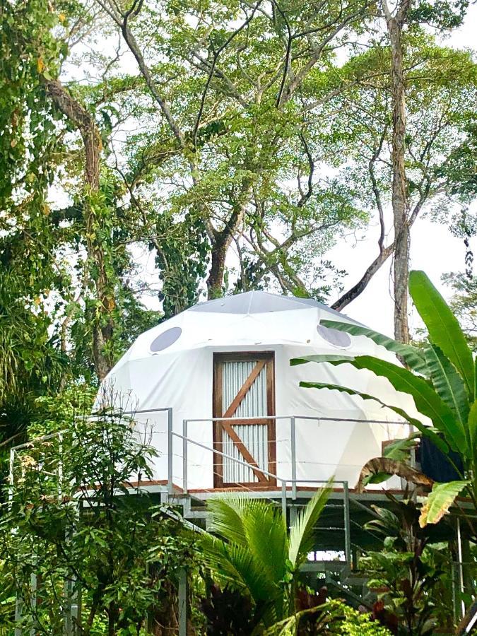 ホテル Faith Glamping Dome Costa Rica マンサニージョ エクステリア 写真