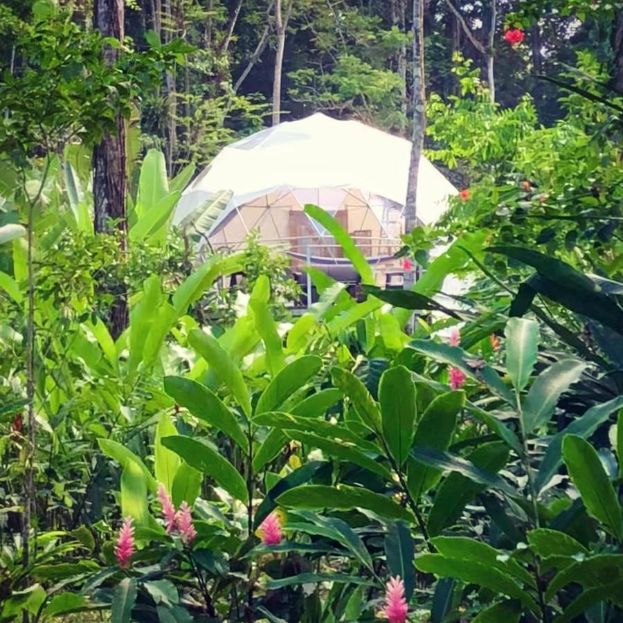 ホテル Faith Glamping Dome Costa Rica マンサニージョ エクステリア 写真