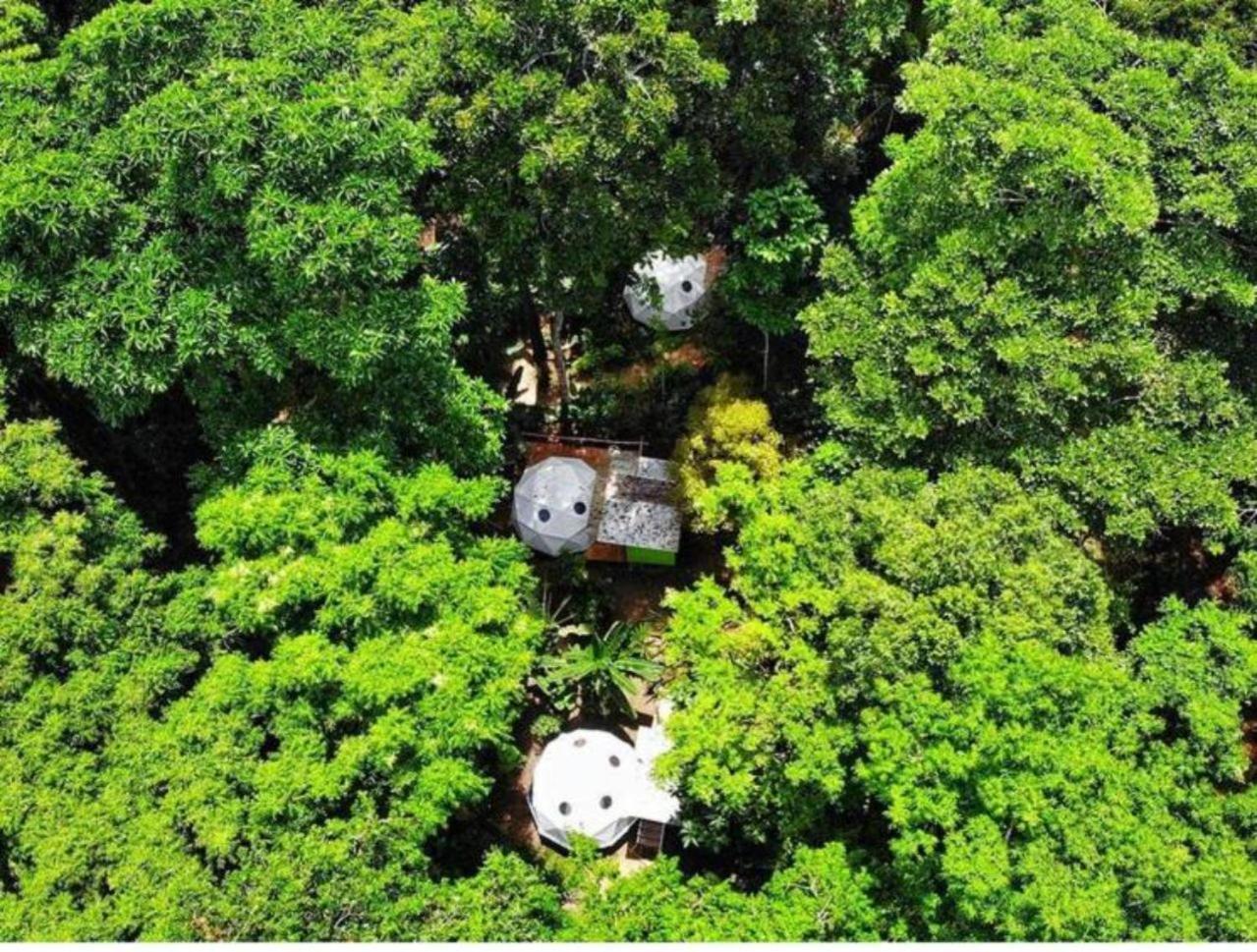 ホテル Faith Glamping Dome Costa Rica マンサニージョ エクステリア 写真