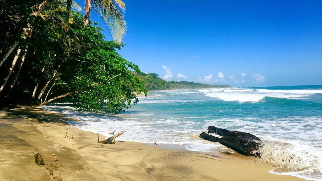 ホテル Faith Glamping Dome Costa Rica マンサニージョ エクステリア 写真