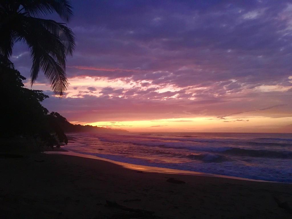 ホテル Faith Glamping Dome Costa Rica マンサニージョ エクステリア 写真