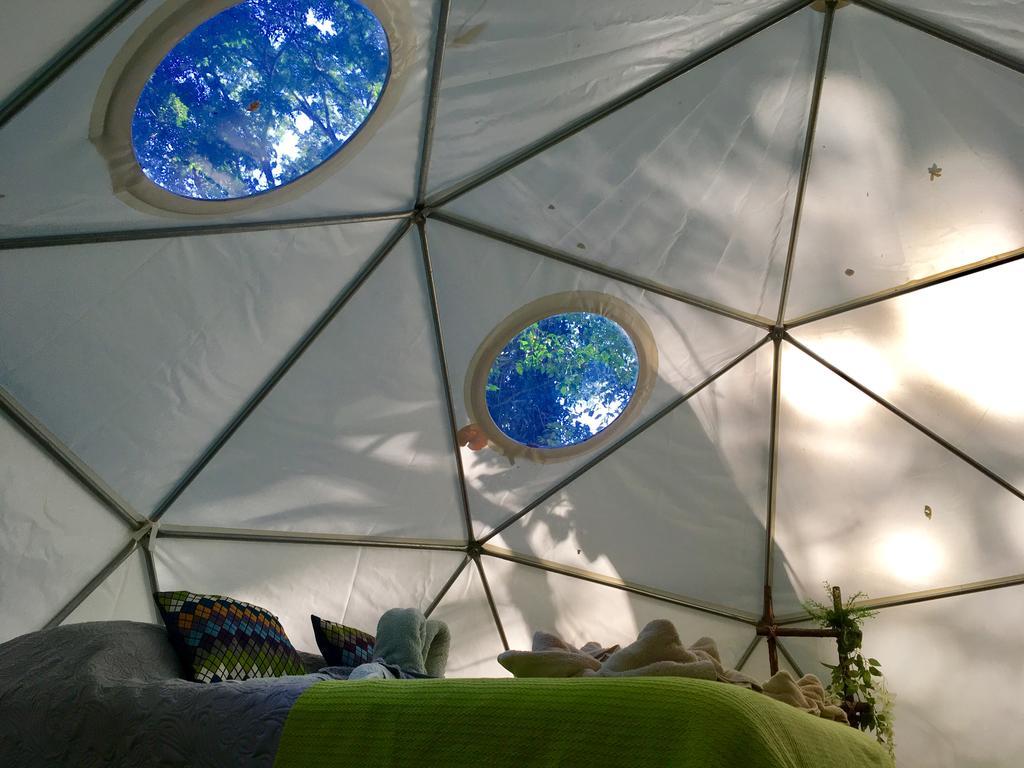 ホテル Faith Glamping Dome Costa Rica マンサニージョ エクステリア 写真