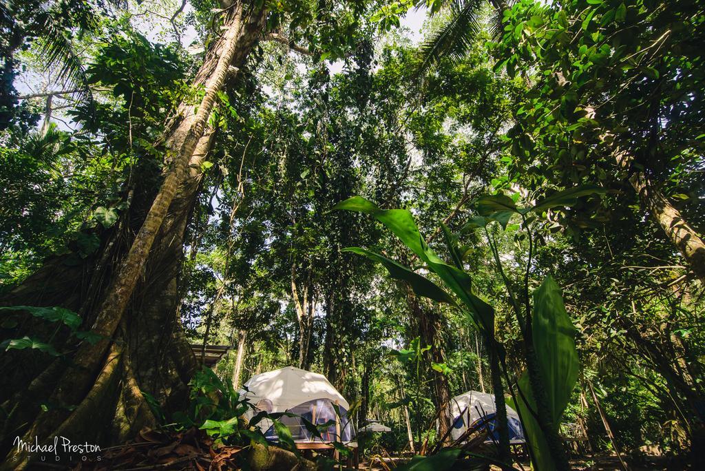 ホテル Faith Glamping Dome Costa Rica マンサニージョ エクステリア 写真