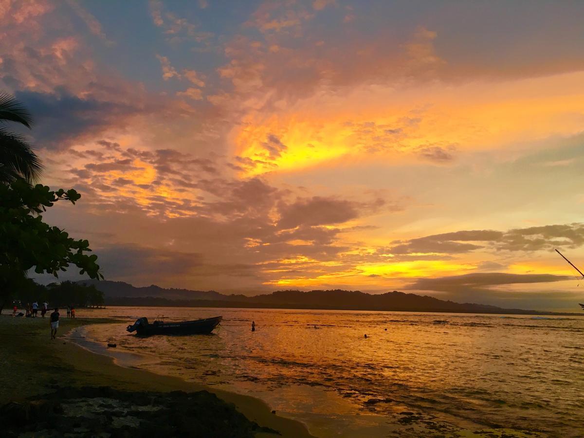ホテル Faith Glamping Dome Costa Rica マンサニージョ エクステリア 写真