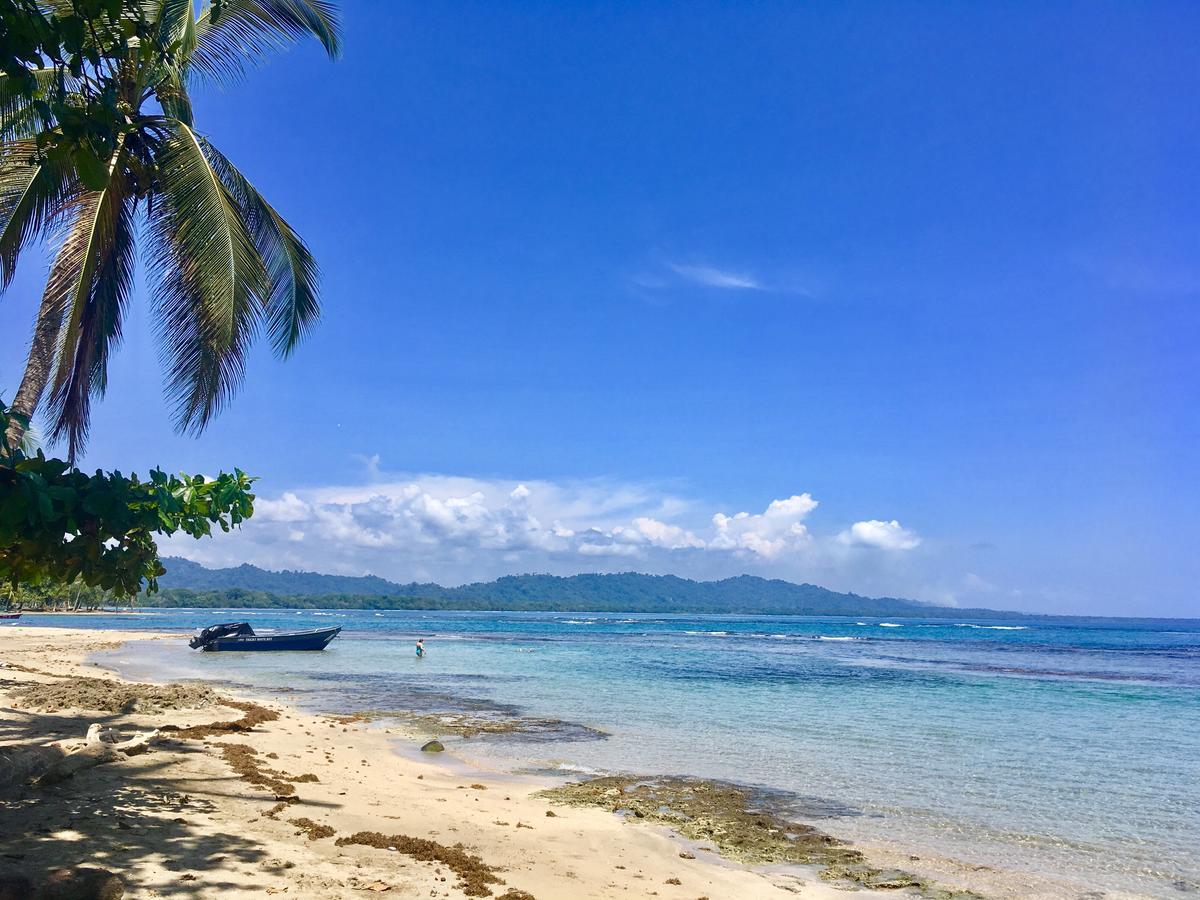 ホテル Faith Glamping Dome Costa Rica マンサニージョ エクステリア 写真